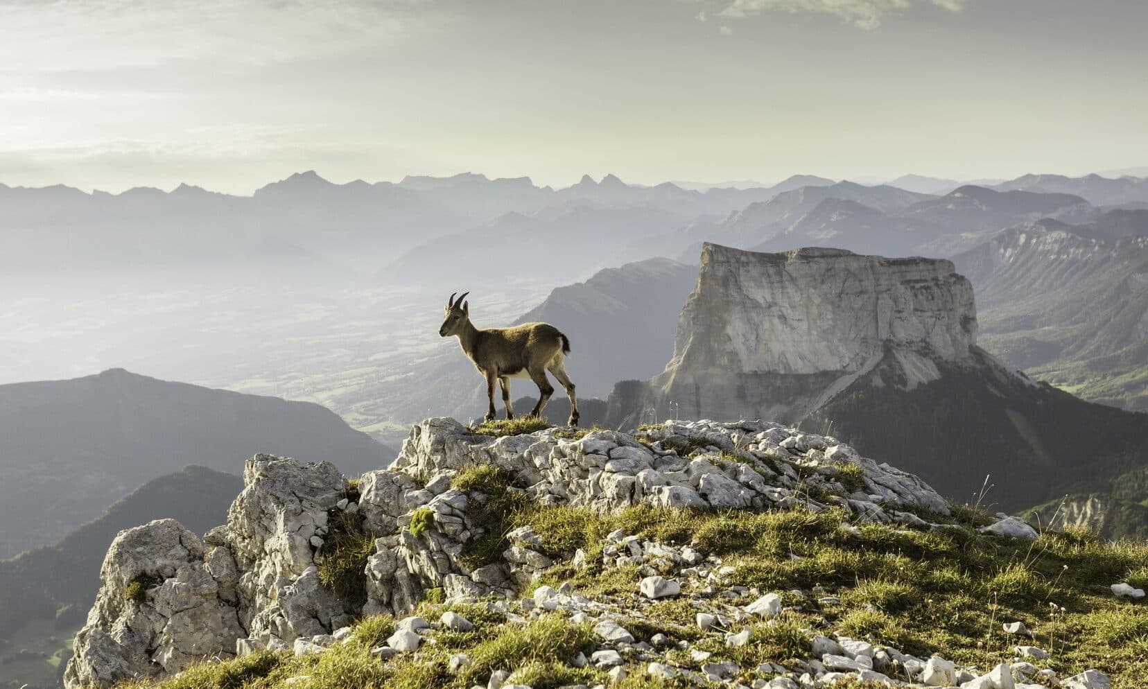 Paysage du massif du Vercors